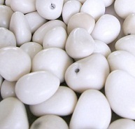 Graines de tagua blanche