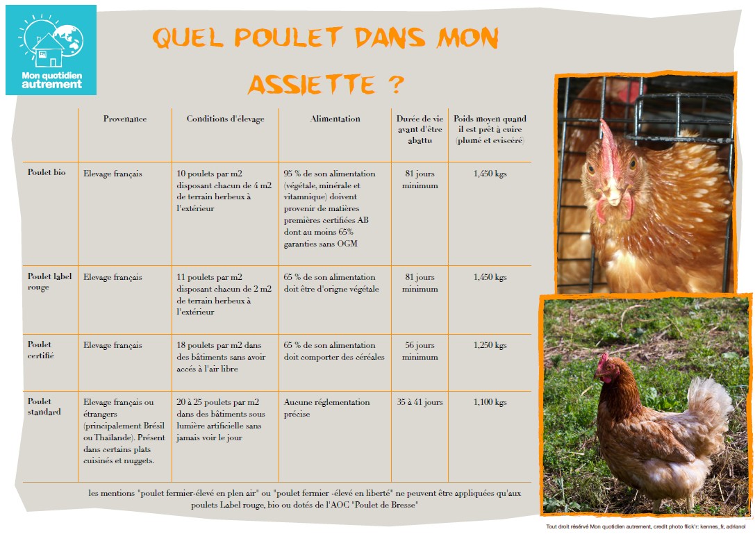 Quel poulet dans mon assiette ?