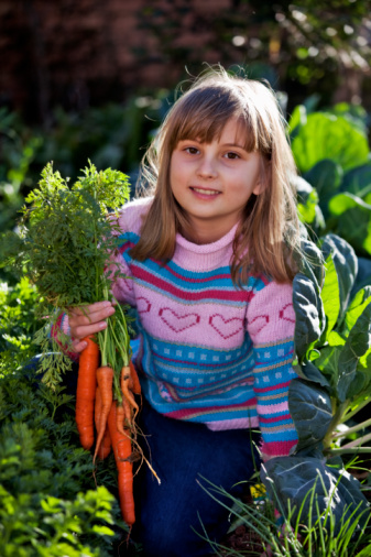 Vertus du potager d'hiver
