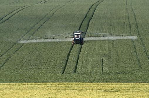 A propos des pesticides ?