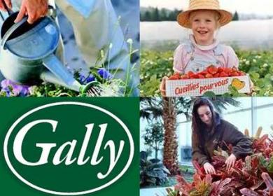 La ferme de Gally