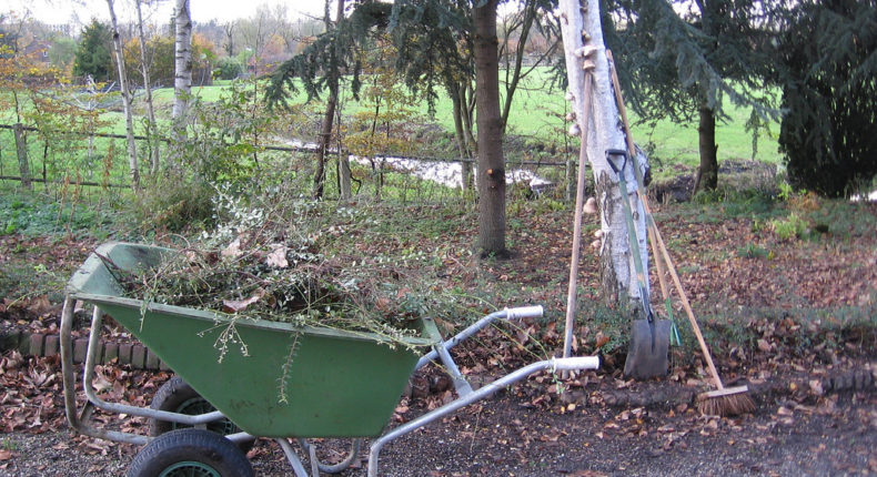 Préparer son jardin en Février