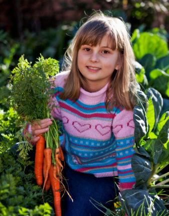 Vertus du potager d'hiver