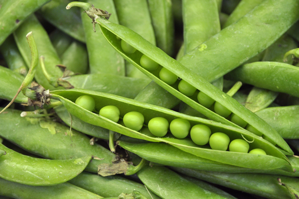 Petit pois “à la française"