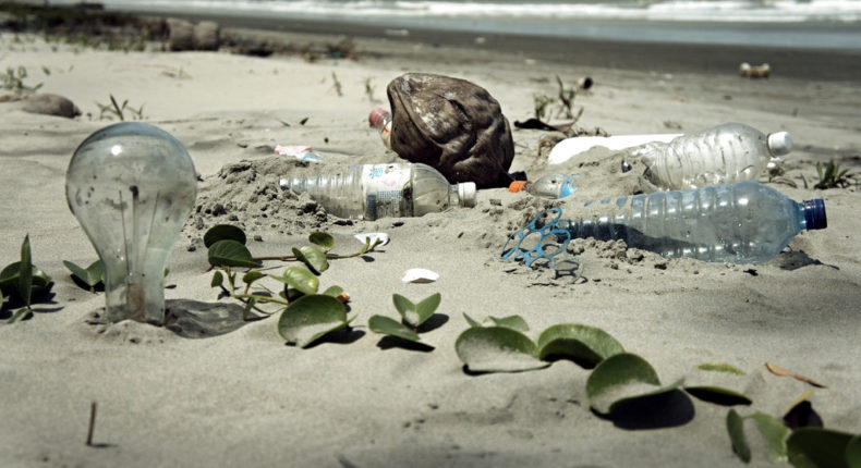 Mers, océans et littoral : le tourbillon de la pollution