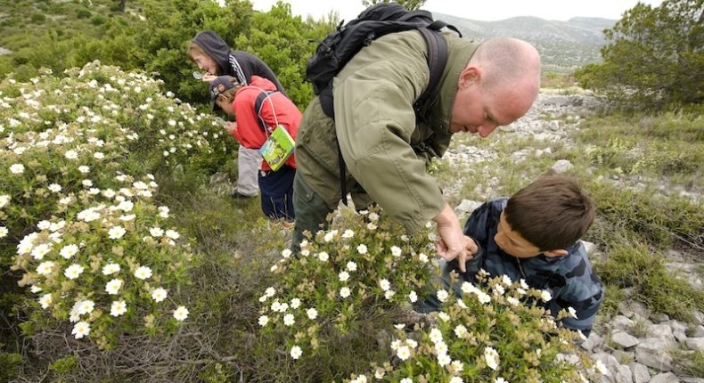 Cinq jours pour fêter Dame Nature