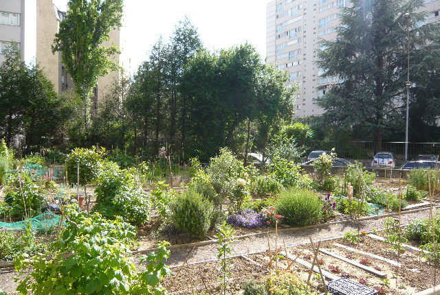 Le jardin partagé des Périchaux