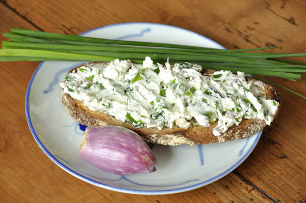 Tartine de fromage frais aux herbes