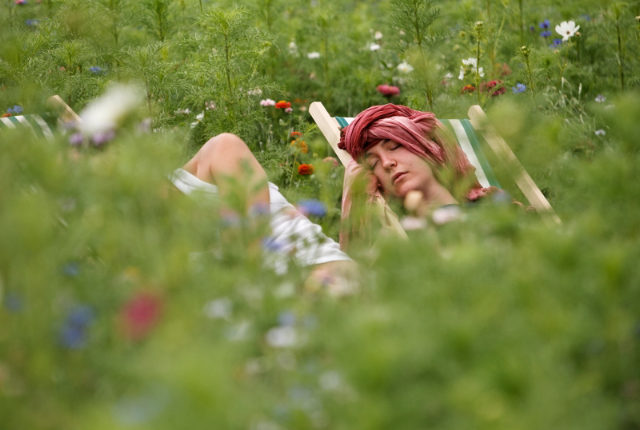 visuel fiche pratique écofestivalier mode d'emploi_sieste obligatoire dans les jacheres fleuries_MD