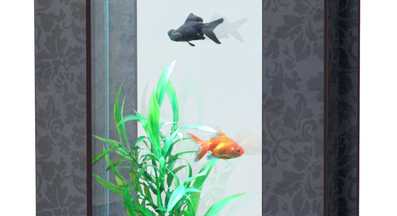 Les nanos aquariums de Botanic