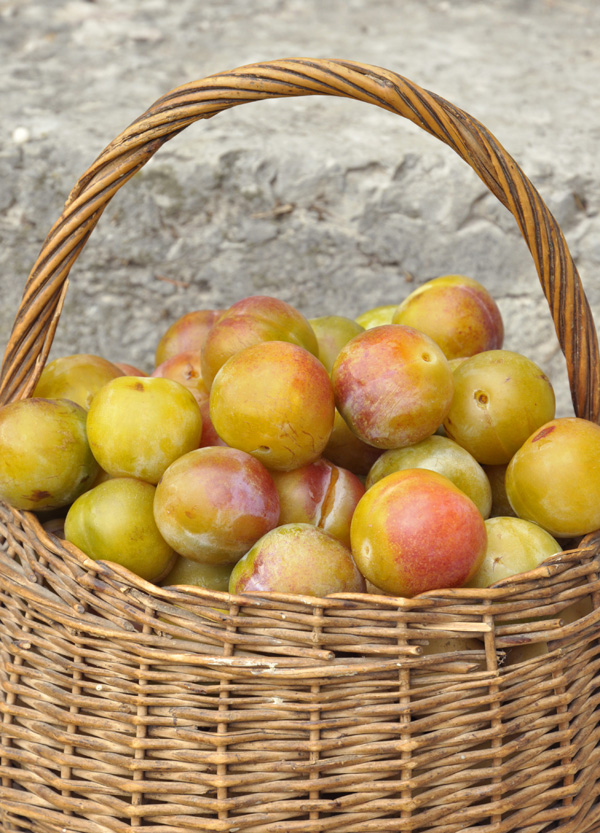 Confiture de reines-claudes