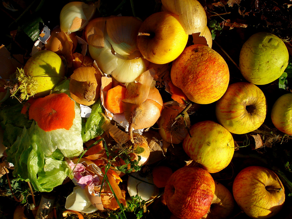 Composter ses déchets en ville? C'est possible!