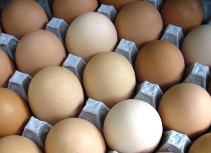 Comment bien choisir ses oeufs?