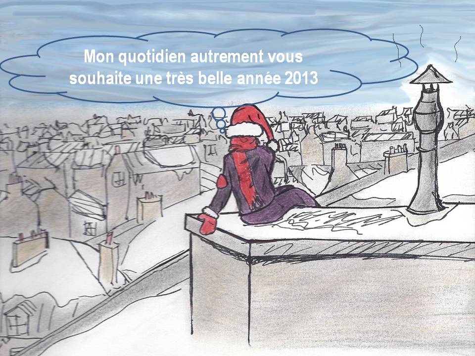 Bonne année 2013