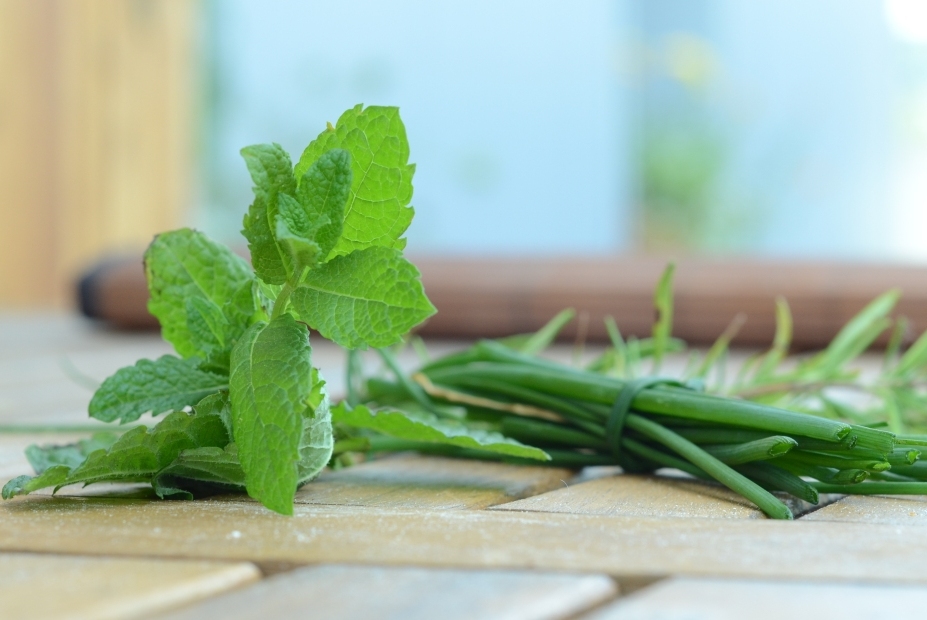 Connaissez-vous les fines herbes?