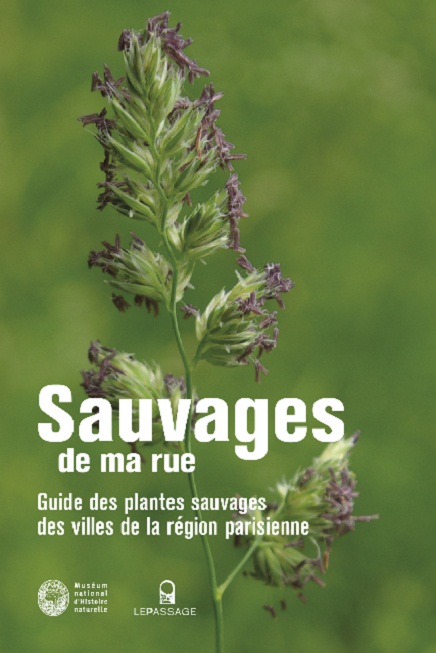 Sauvages de ma rue, de Nathalie Machon