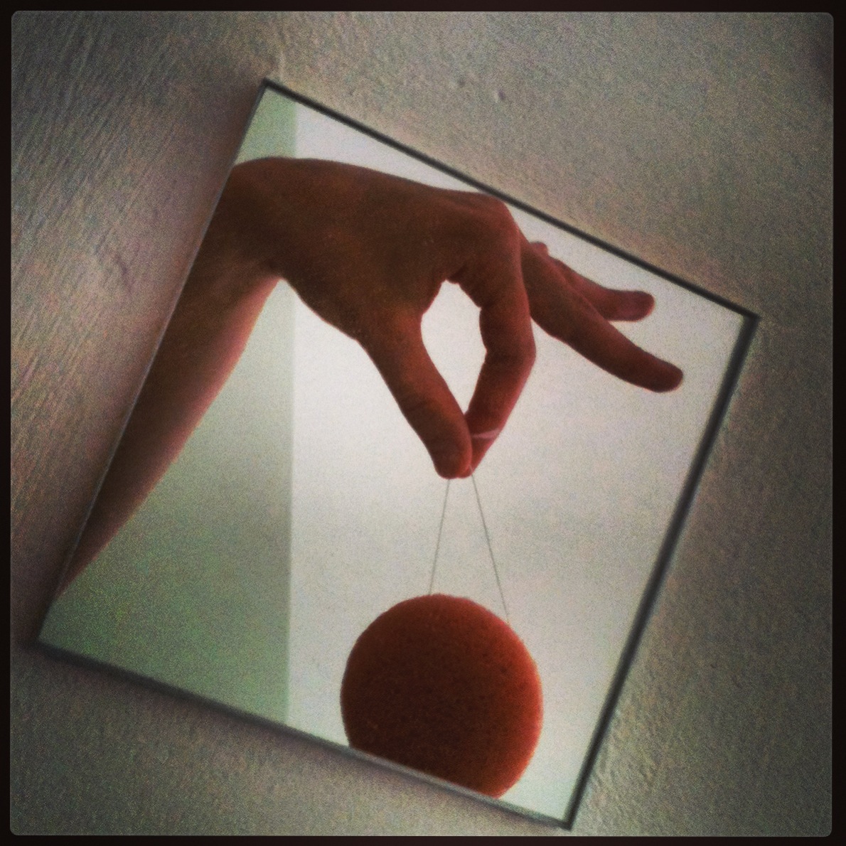 L'éponge Konjac de la Konjac Sponge Company