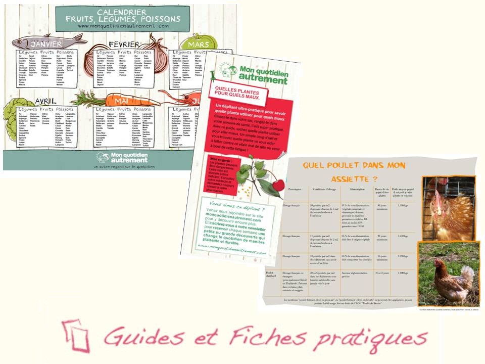 Guides et fiches pratiques de l'été.