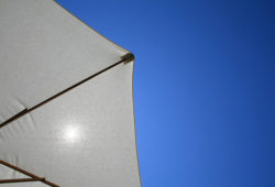 Alerte canicule !