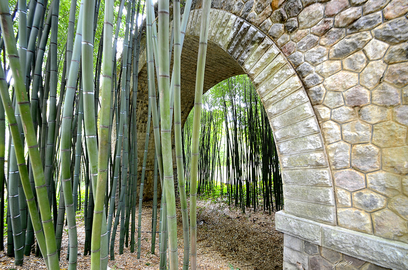 Les Rendez-vous au jardin, à la Bambouseraie d'Anduze