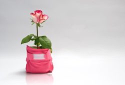 Couche bébé