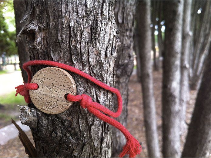 Treez : le bracelet qui ravive les forêts