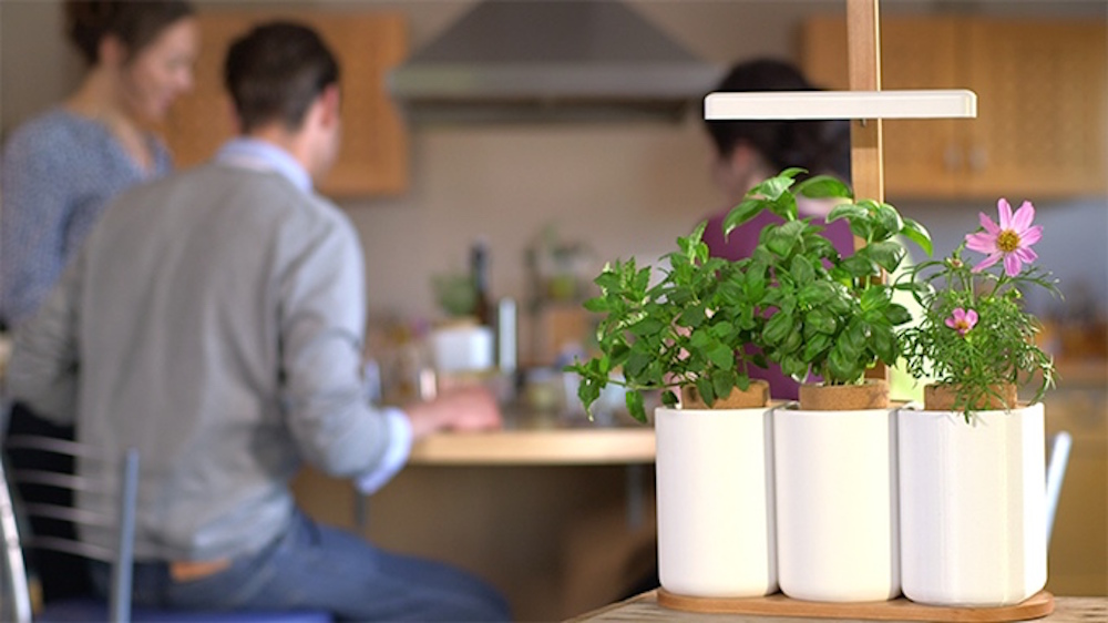 Le potager d'intérieur Lilo