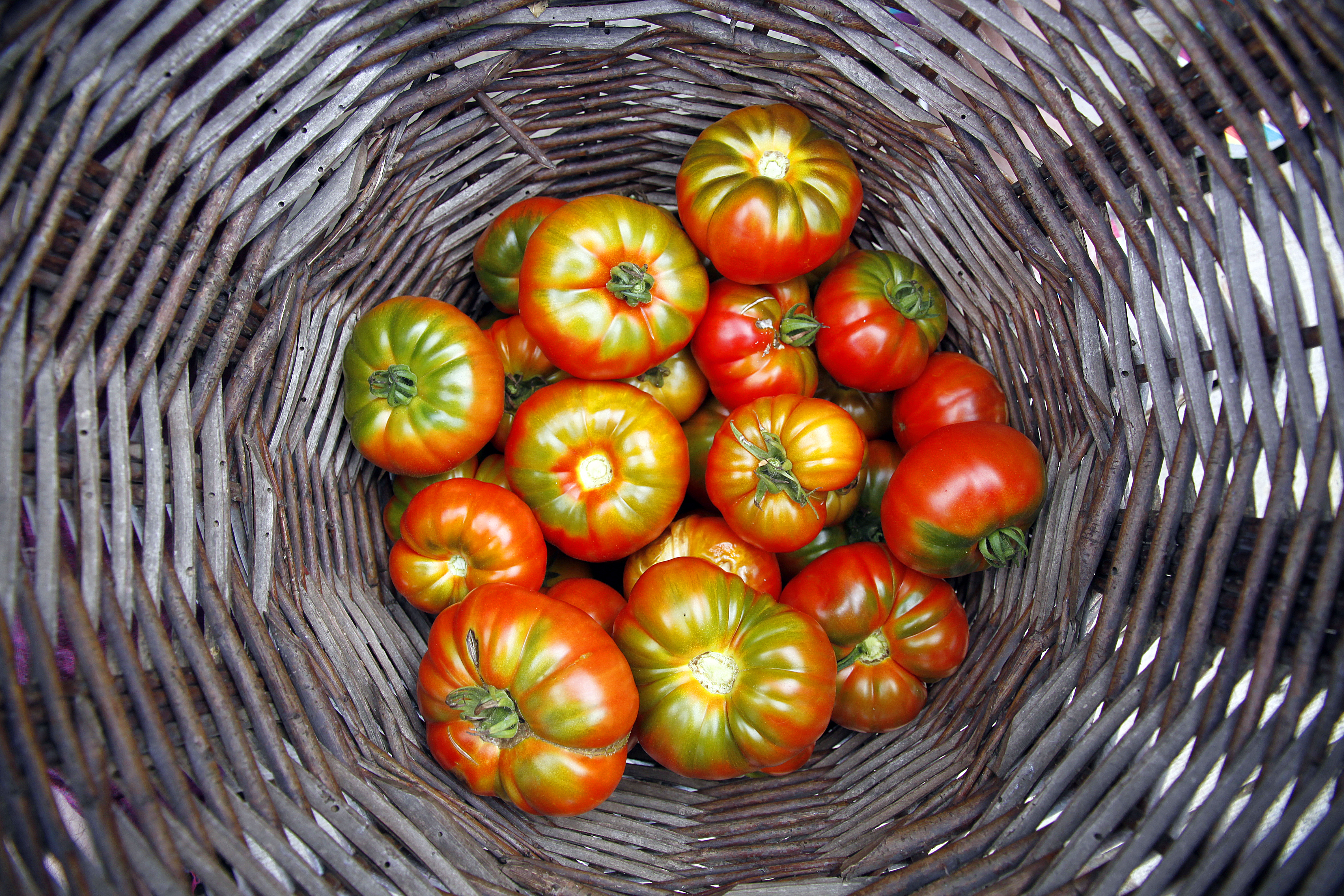 Comment choisir une bonne tomate ?