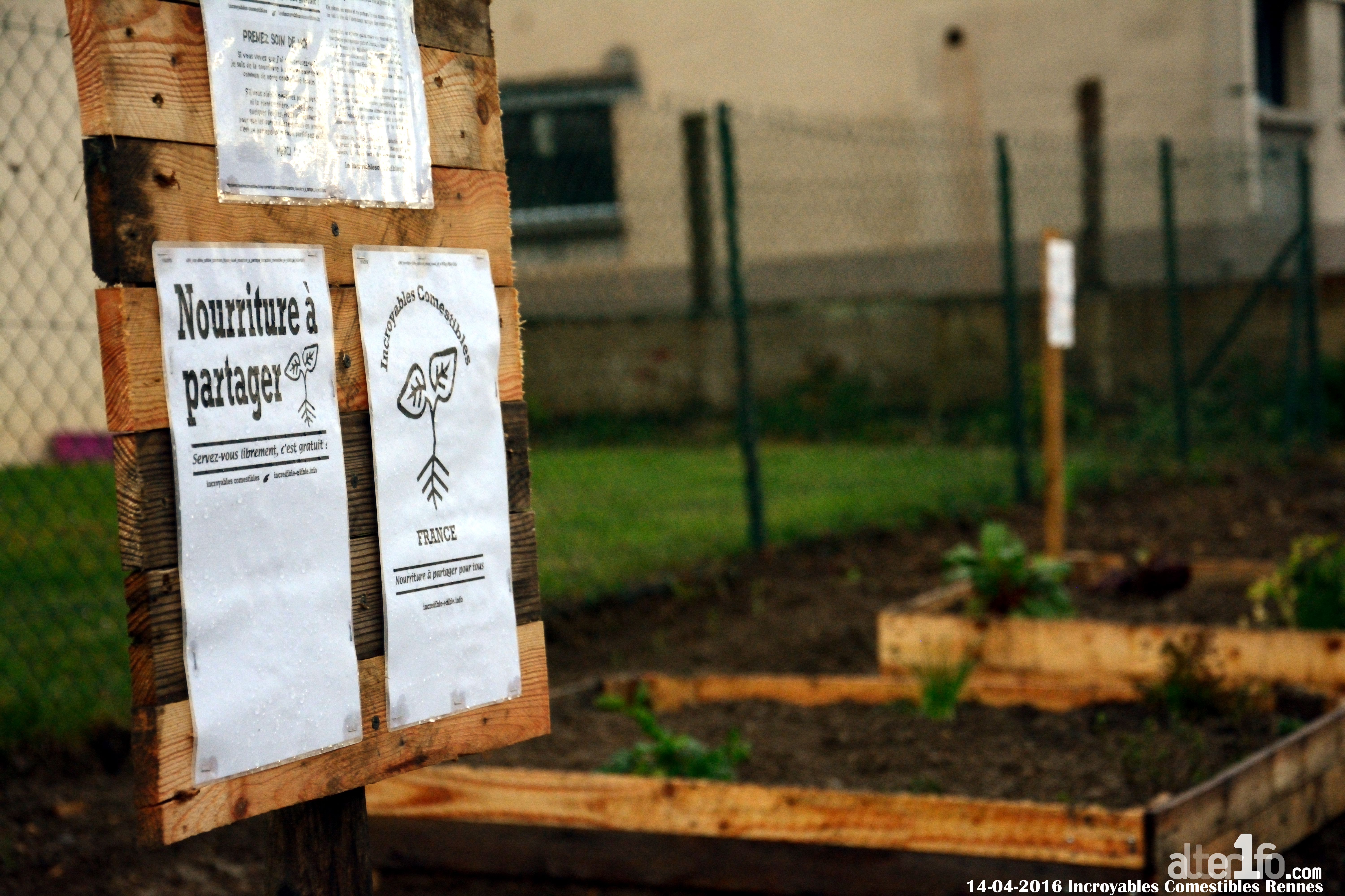 La renaissance des jardins partagés