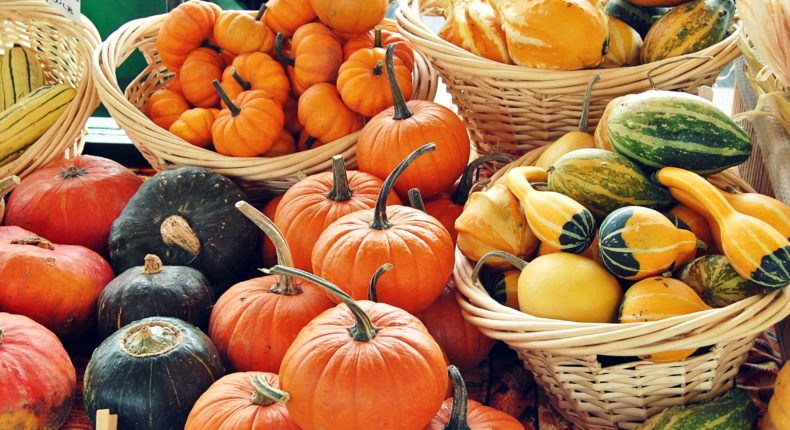 Le marché des courges Crédits allisonmseward12