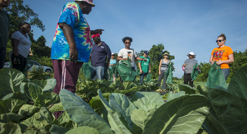 Le glanage permet de réduire le gaspillage alimentation © U.S. Department of Agriculture