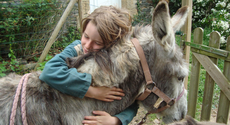 A la Ferme de la forêt, les enfants nourrissent, soignent et câlinent les animaux. © La Ferme de la forêt