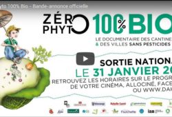 Envie de sortir ?
