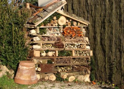 Ouvrir un hôtel à insectes