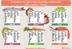 Guide pratique écologique