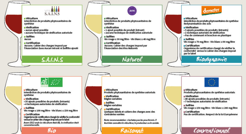 Notre guide pratique pour tout connaitre sur les vins