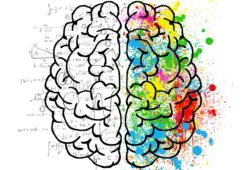 Neurones