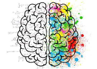 5 idées reçues sur notre cerveau