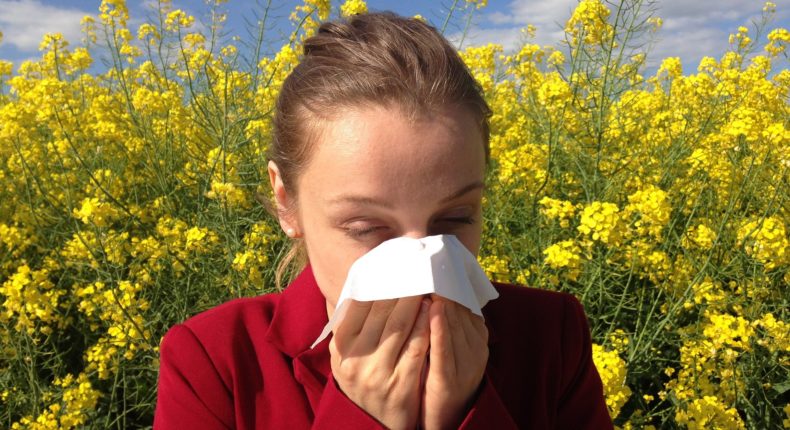 Une huile végétale et bio pour atténuer les allergies de printemps