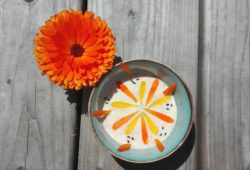 Recette saine et de saison