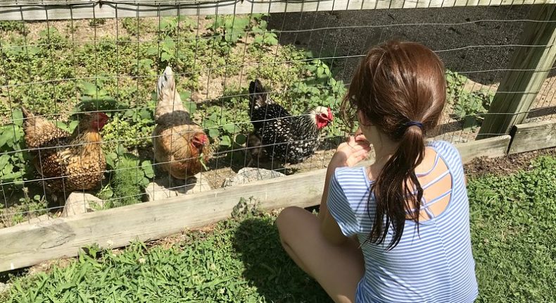 Les enfants aussi sont angoissés par le réchauffement climatique. © Virginia State Parks