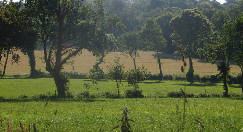 Le bocage breton. © Rhian