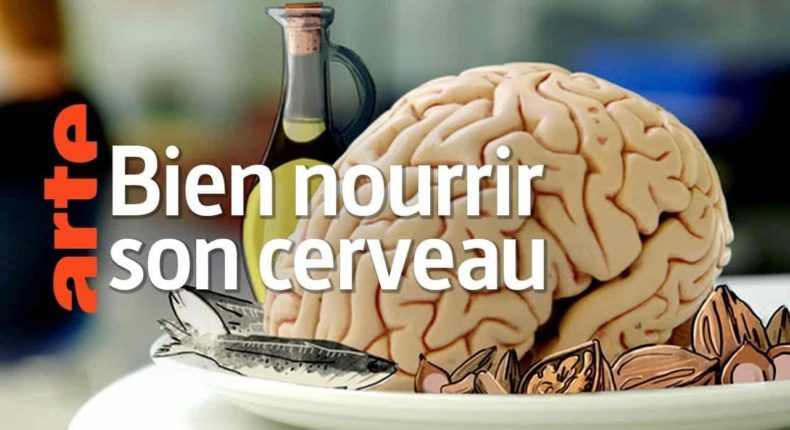 Bien nourrir son cerveau.