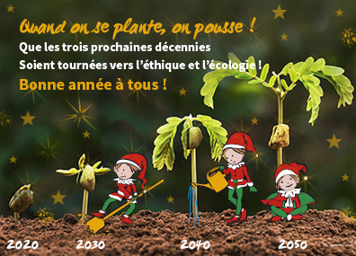 Quand on se plante, on pousse