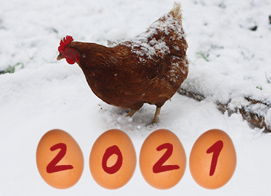 Bonne année !