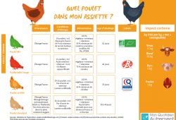 Et le poulet