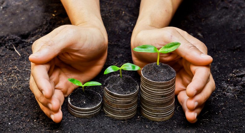 hands holding tress growing on coins / csr / sustainable development / economic growth