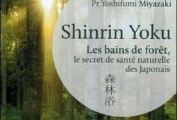 Shinrin Yoku