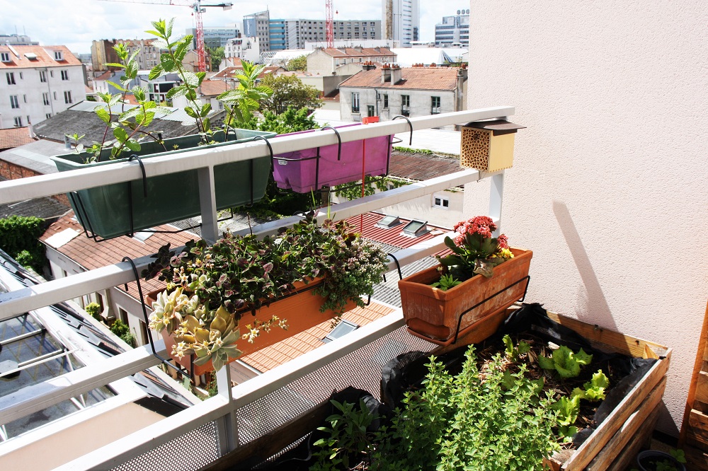 Une maison accueille des abeilles sauvages.