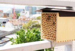 Maison pour abeilles